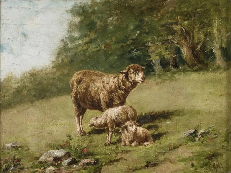 1850-Ciro Punzo - Paesaggio con pecore